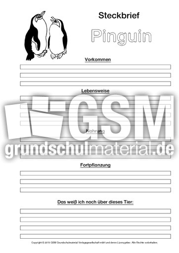 Pinguin-Steckbriefvorlage-sw.pdf